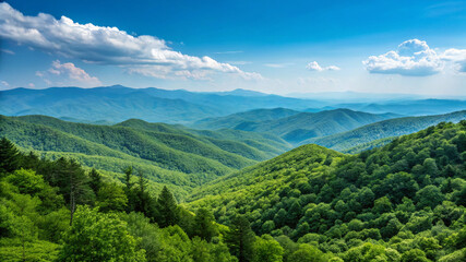 Fototapeta premium landscape with mountains