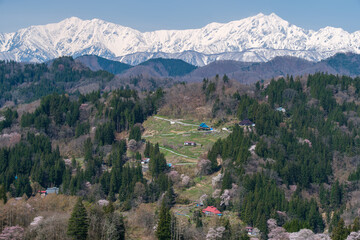 Naklejka premium 春山の山里