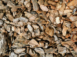 texture of wood