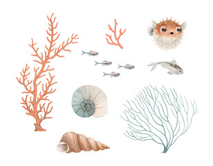 Watercolor set with cute puffer fish, small fishes, corals and shells, isolated decoration elements sea flora and fauna for your design wallpapers in underwater style, background or mural.  © Nikole