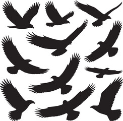 Black silhouette illustrations of soaring eagles with various wing positions on a white background