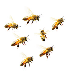 A group of bees in flight, showcasing their wings and distinct body patterns.
