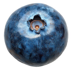 Single Blueberry on Transparent Background