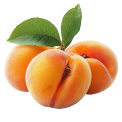 Fresh Peaches on Transparent Background
