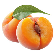 Juicy Apricots on transparent background