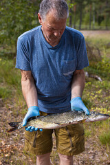 Middle aged man holding freshly caught pike. Closeup of freshly caught northern pike held by...