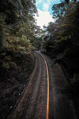 Fototapeta premium Railway in the forest