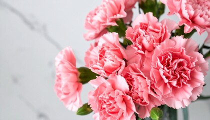 Fototapeta premium Lovely pink carnation bouquet for mother's day festivities, ideal floral present
