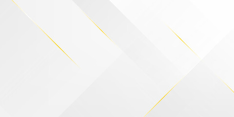 gray random transparent shadow with luxury golden lines abstract background