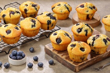 muffin Blueberry. These fluffy blueberry muffins are tender, moist and loaded with fresh blueberries!