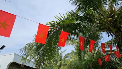 Vietnamese national flags hang between coconut palms at a tropical resort in Binh Thuan, Vietnam.