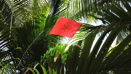 Vietnamese national flags hang between coconut palms at a tropical resort in Binh Thuan, Vietnam.