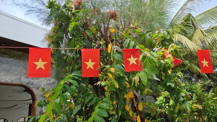 Vietnamese national flags hang between coconut palms at a tropical resort in Binh Thuan, Vietnam.