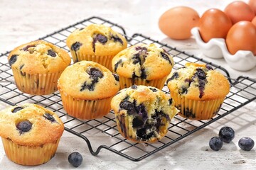 muffin Blueberry. These fluffy blueberry muffins are tender, moist and loaded with fresh blueberries!
