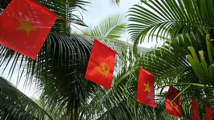 Vietnamese national flags hang between coconut palms at a tropical resort in Binh Thuan, Vietnam.