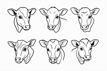 set of calf head line art vector