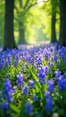 Obraz premium Vibrant bluebells carpet a sun-dappled meadow , landscape, bluebells, floral