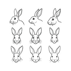 vector set of rabbits