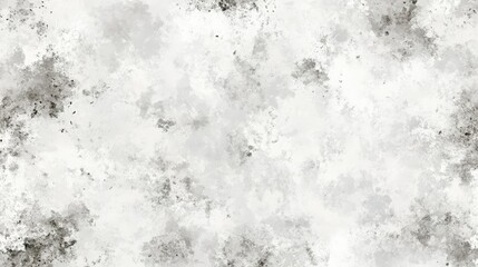 Light gray seamless backdrop with gentle gradient and smooth texture