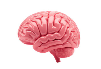 Pink Brain, Isolated Transparent Background, Minimalist Design Element