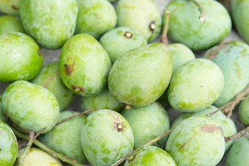 fresh green mangoes