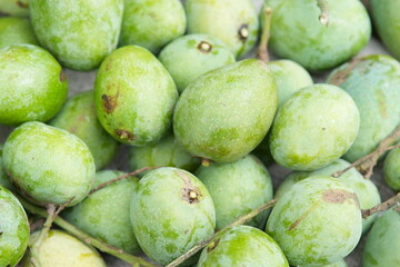 fresh green mangoes