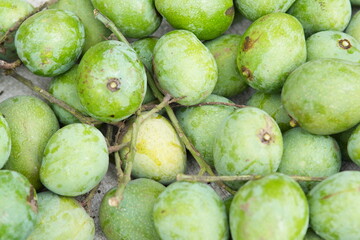 fresh green mangoes