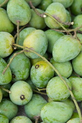 fresh green mangoes