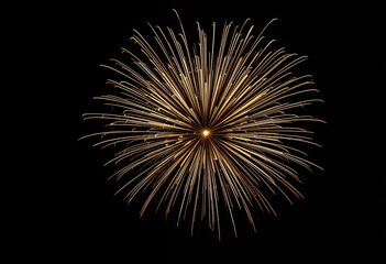 Golden fireworks burst illuminating the night sky in a celebratory display