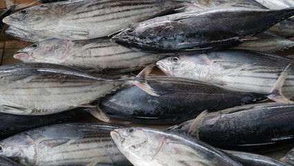 Skipjack tuna is rich in omega-3, which is good for the heart and brain. Contains vitamins and minerals such as vitamin B12, niacin, selenium, and phosphorus.