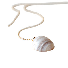 Trendy Minimalist Shell Necklace with One Organically Shaped Pendant Isolated on Transparent Background