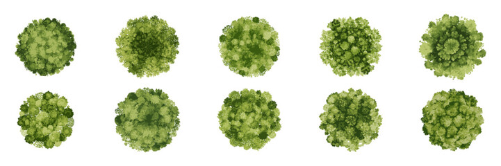 Overhead Watercolor Trees in Varied Green Tones for Sustainable Map and Garden Planning. Environmental Design Assets. Isolated Vector Illustration