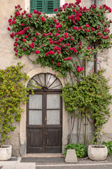 flowers in an Italian farmhouse