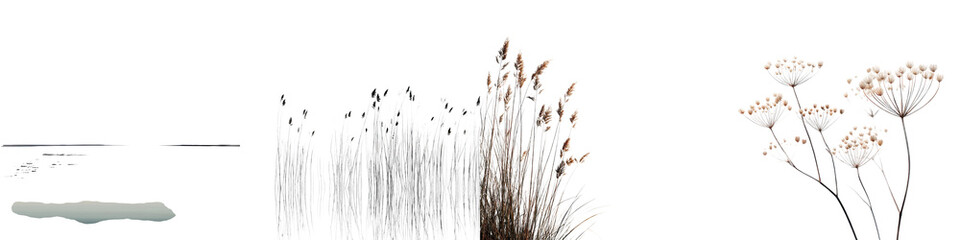 Minimalist nature scene with delicate plant forms