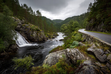 Scenic road alongside a forest river on an overcast day