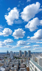 Fototapeta premium Panoramic city view with blue sky and fluffy white clouds on a sunny day