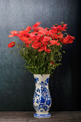 red poppy flowers