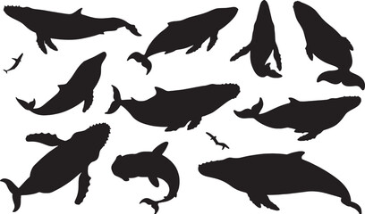 Whales Silhouette Wildlife Art: Ocean Animals and Marine Life Collection with Cetaceans and Aquatic Mammals in Underwater Ecosystem Design and Ocean Conservation Theme.