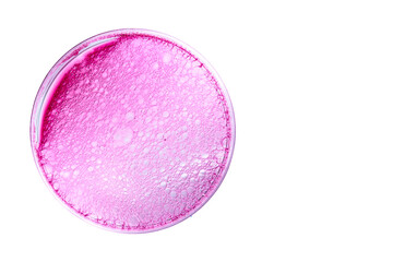 Pink foam bubble reaction in petri  dish on white background. Laboratory Experiment concept.