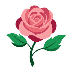 Fototapeta premium Vintage botanical of a pink rose with green leaves (1).eps