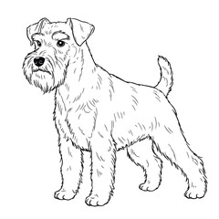 Happy Golden Retriever Sketch