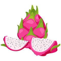 Vector image of Dragon fruit with isolated white background and transparent