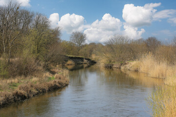 river in spring forest