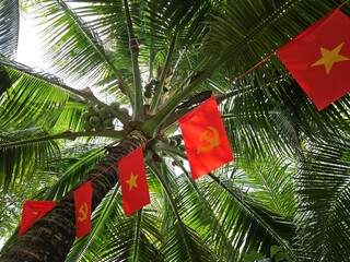 Vietnamese national flags hang between coconut palms at a tropical resort in Binh Thuan, Vietnam.