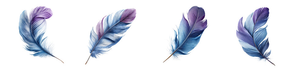 Delicate blue and purple feather plumes floating against white background