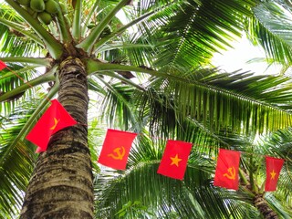 Vietnamese national flags hang between coconut palms at a tropical resort in Binh Thuan, Vietnam.