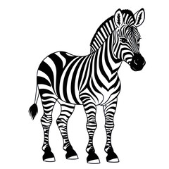 Obraz premium Zebra standing isolated in black and white illustration. Stripped african animal drawing