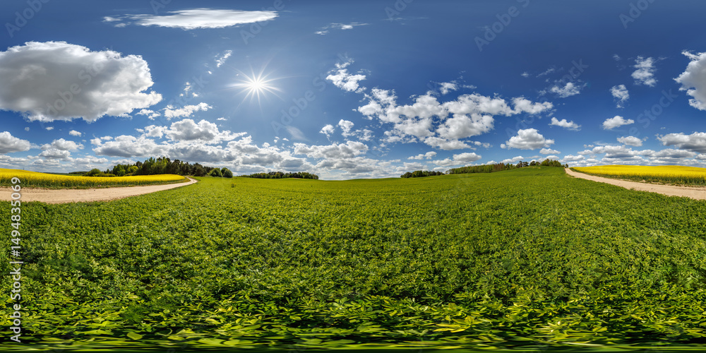 Wall mural hdri 360 panorama on farming field near rapeseed fields in forest in equirectangular full seamless s