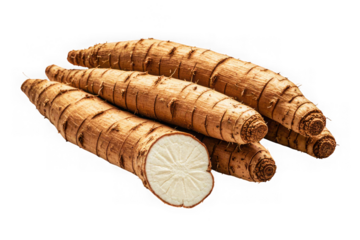 Fresh organic cassava roots with cut section
