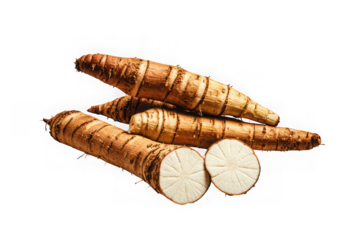 Fresh organic arrowroot tubers isolated on black